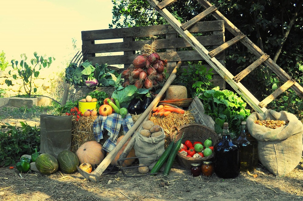 Malte agricole - 4