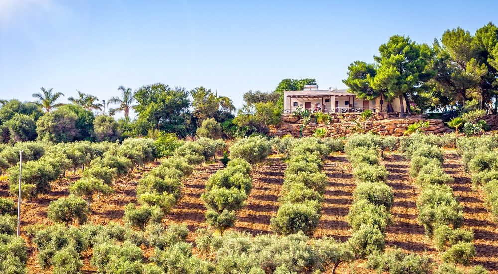Paysage sicilien.